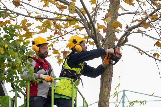 MALTEPE’DE BUDAMA ZAMANI 