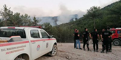 Maltepe Belediyesi ekiplerinden orman yangınına müdahale…
