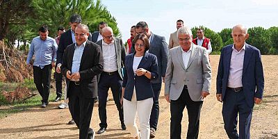 MALTEPE BELEDİYESİ’NDEN SOKAK HAYVANLARINA ŞEFKAT ELİ