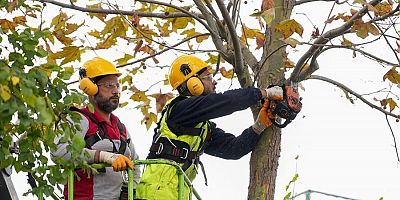 MALTEPE’DE BUDAMA ZAMANI 