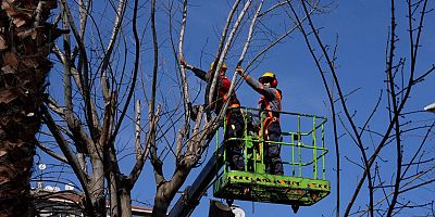 MALTEPE’NİN PARKLARI BAHARA HAZIRLANIYOR