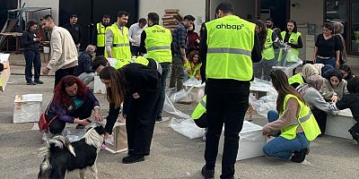 MALTEPE’NİN PATİLİ DOSTLARINA SICAK YUVA 